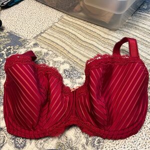 Elegant Red Lace Bra